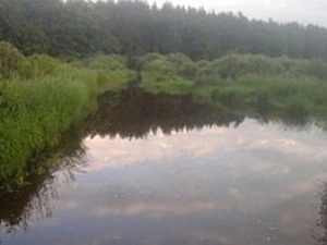 В Воскресенском районе затопило участок дороги