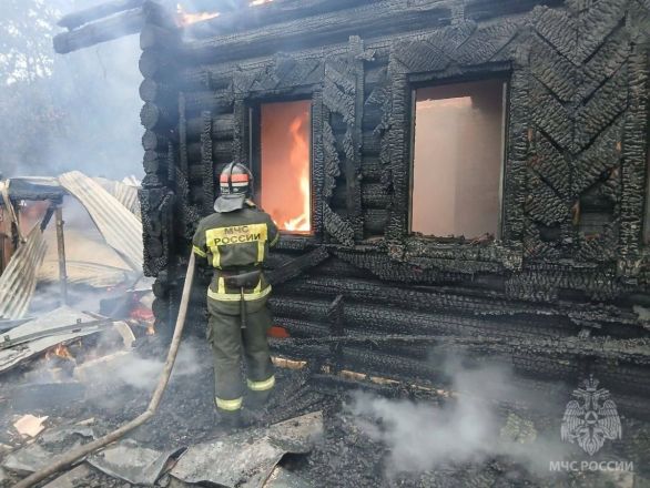 Тело женщины нашли в сгоревшем доме в Нижегородской области - фото 4