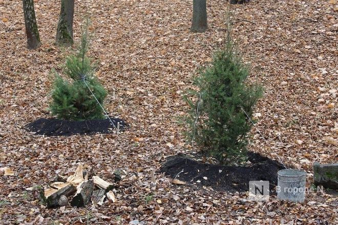 Пейзажные парки с цветущими многолетниками создали к 800-летию Нижнего Новгорода - фото 5