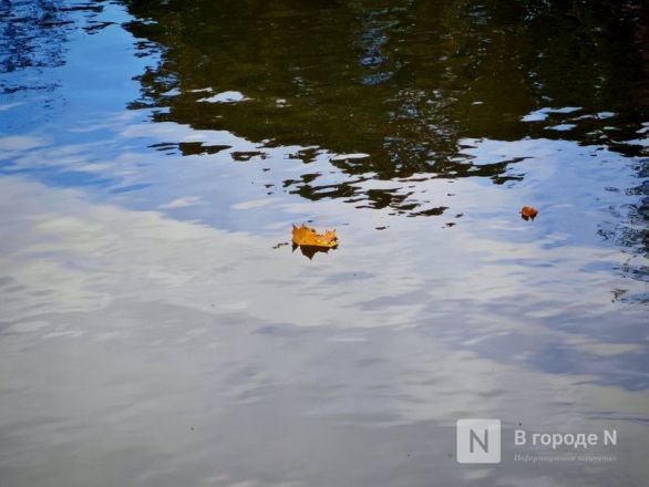 Та самая пушкинская осень: уютный фоторепортаж из Большого Болдина - фото 12