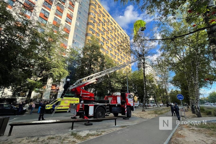 Девушка-парашютист застряла на дереве в Приокском районе - фото 1