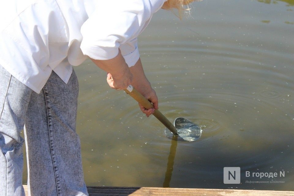 11 водоемов в Нижнем Новгороде признаны безопасными для купания - фото 1