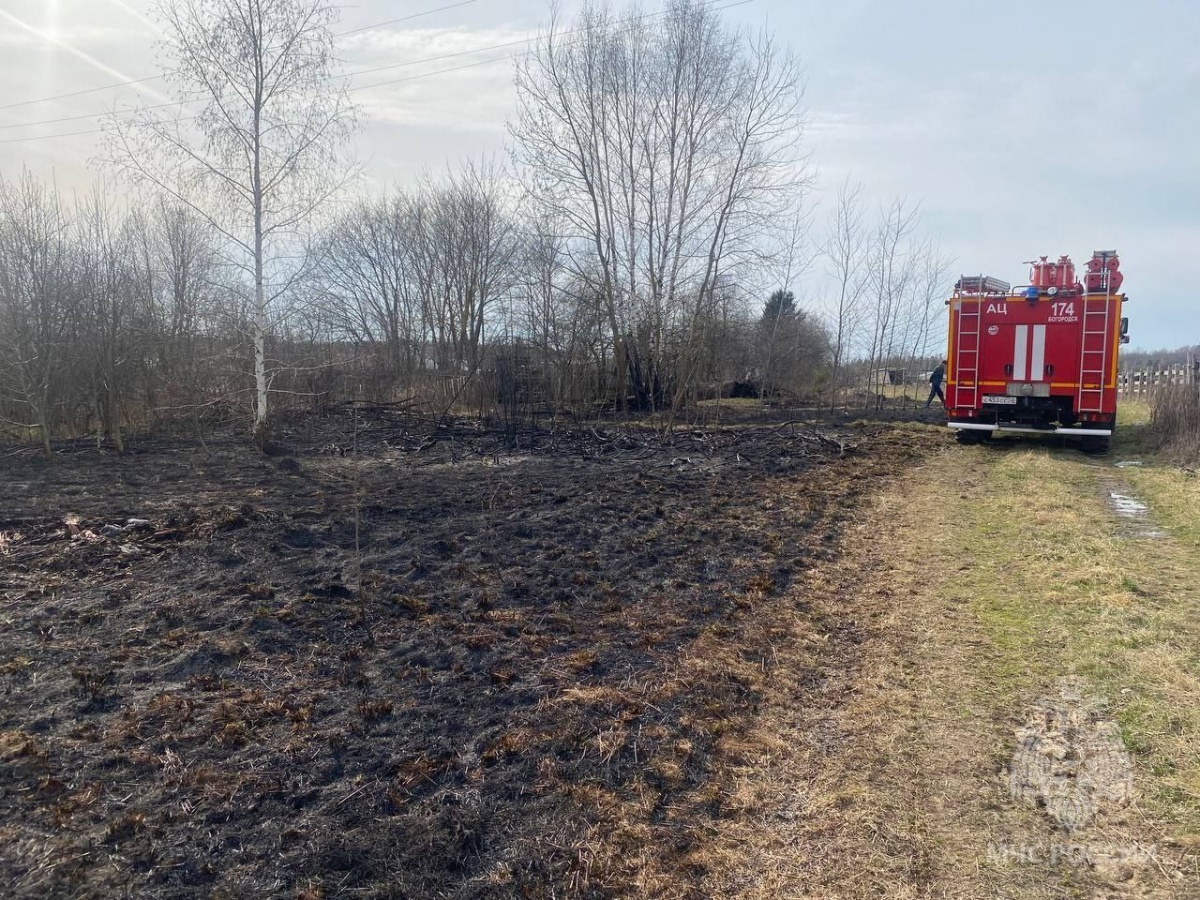 Пожилой нижегородец решил сжечь мусор за домом и погиб в огне - фото 1