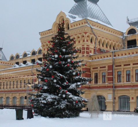Кролики, олени, снеговики: карта самых атмосферных новогодних локаций Нижнего Новгорода - фото 59