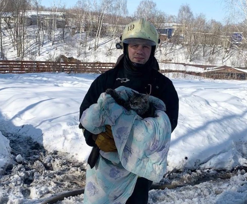 Двух котов спасли нижегородские пожарные из огня в садовом доме - фото 1