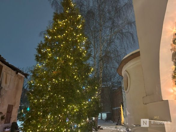 Фоторепортаж: как прошло католическое Рождество в Нижнем Новгороде - фото 37