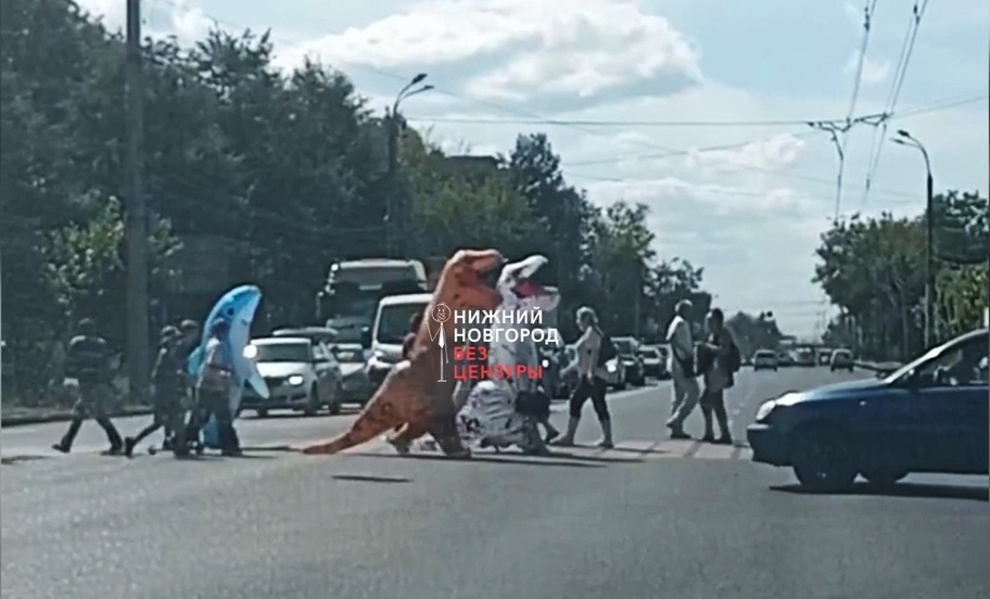 Динозавры на «зебре»: нижегородцы заметили необычных пешеходов на дороге