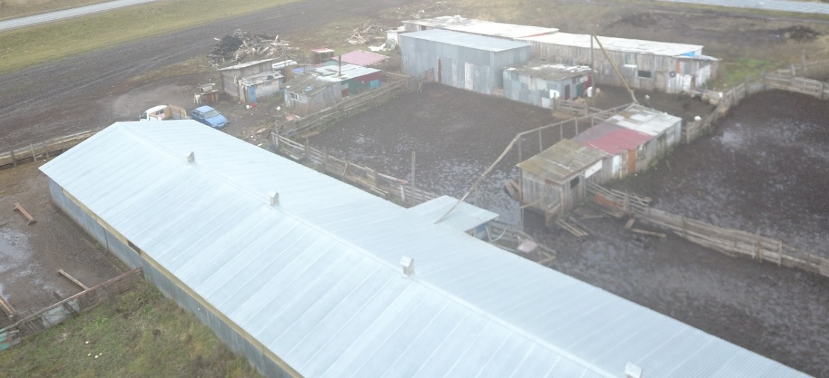 БПЛА используют для слежки за владельцами животных в Нижегородской области - фото 1