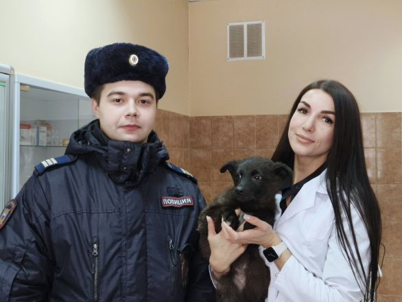 Нижегородцы спасли застрявшего между гаражами щенка - фото 4