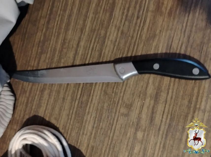 Пьяный нижегородец напал с ножом на женщину - фото 1