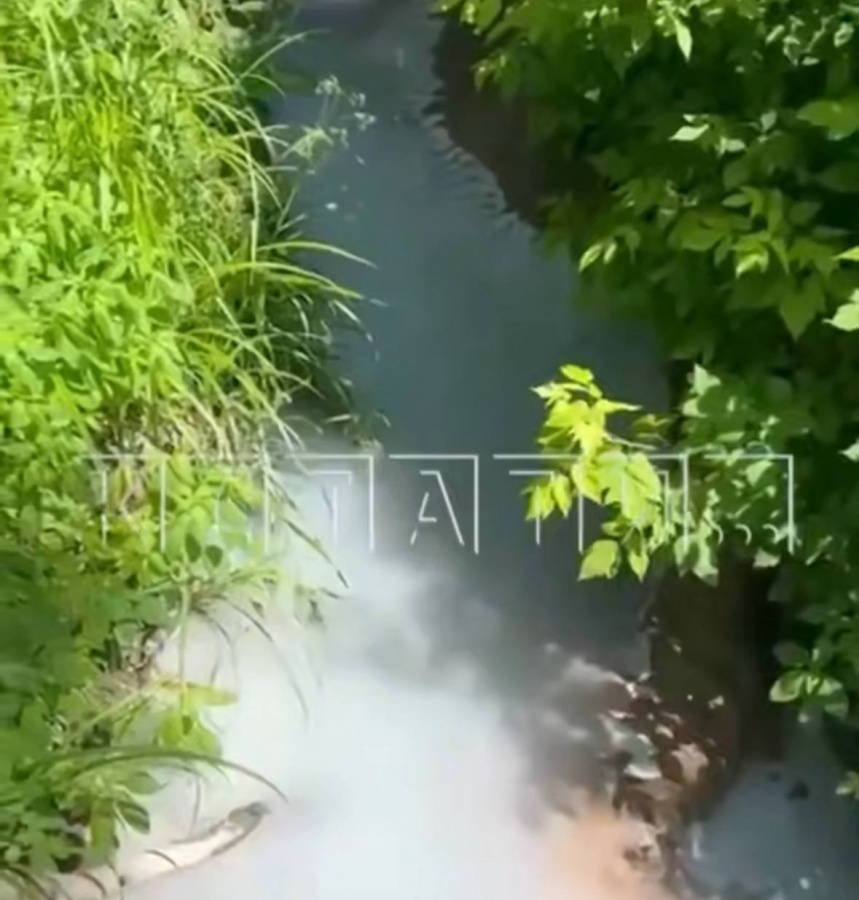 Минэкологии проверяет &laquo;молочную реку&raquo; в Нижнем Новгороде - фото 1