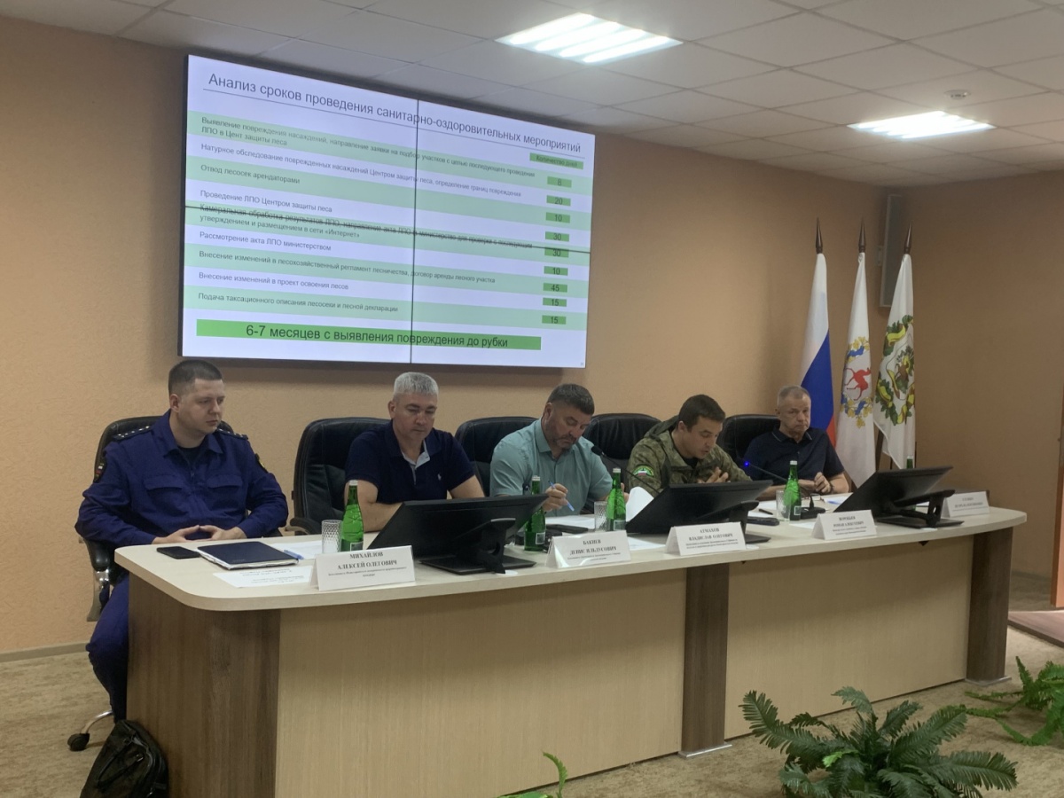 Евгений Люлин: &laquo;Сохранение лесов &mdash; это вклад в экологическую безопасность будущих поколений&raquo; - фото 1