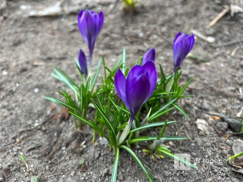 Стало известно, когда в Нижний Новгород придет потепление до +25&deg;С - фото 1